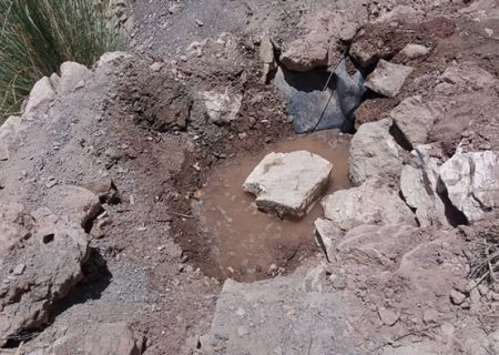 جوانان نخل خلفان به کمک حیات‌وحش شتافتند