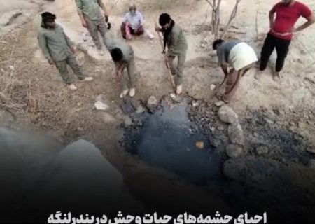 احیای چشمه‌های حیات وحش در بندرلنگه با همکاری محیط‌بانان و جوامع محلی
