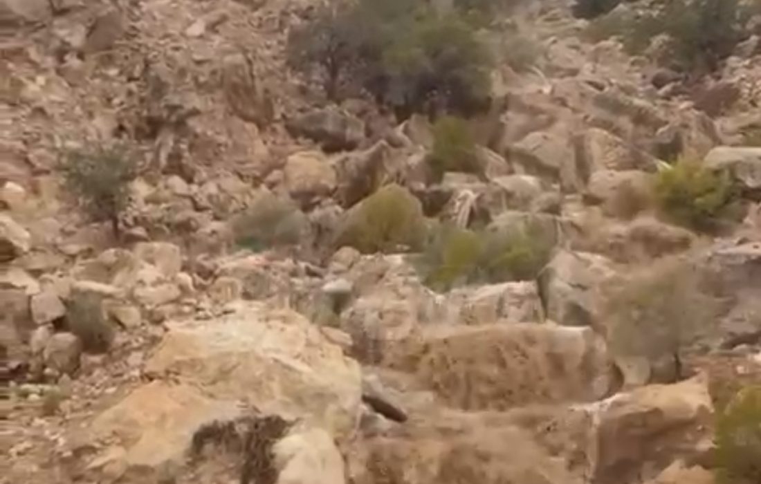 بارش باران در کوه انجیره؛ وزش باد و نم‌نم باران در بندرلنگه