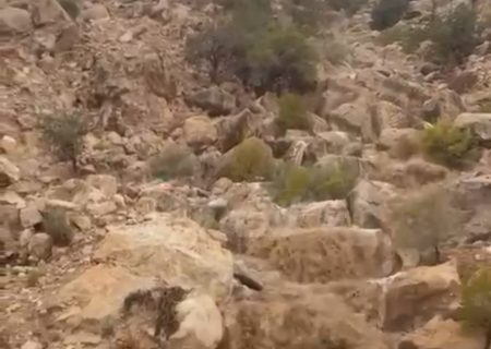 بارش باران در کوه انجیره؛ وزش باد و نم‌نم باران در بندرلنگه