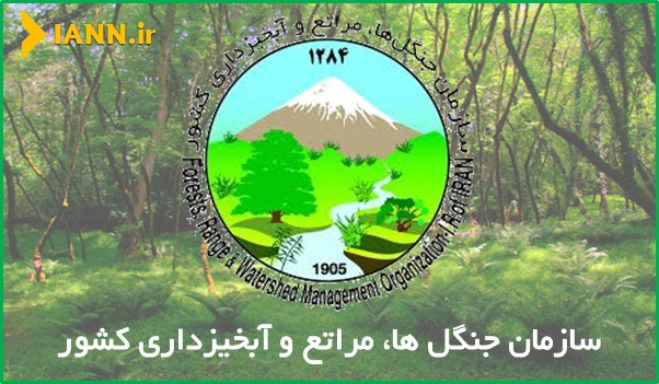 تیر خلاص بر پیکر نحیف منابع طبیعی کشور