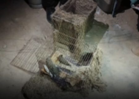 تخریب کوخه‌های زنده‌گیری پرندگان شکاری در بندرلنگه / کشف و رهاسازی چند پرنده وحشی