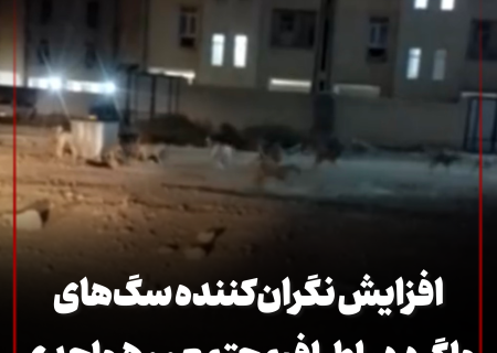 افزایش نگران‌کننده سگ‌های ولگرد در اطراف مجتمع ۵۰۰ واحدی