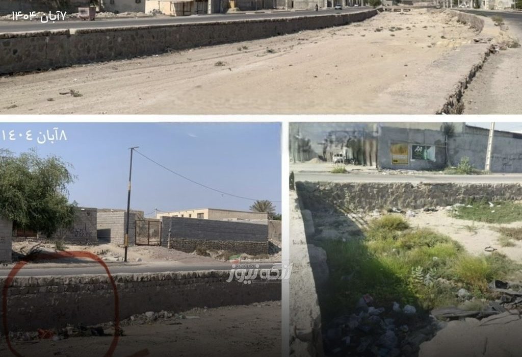 تنها یک روز پس از پاکسازی؛ بازگشت زباله‌ها به خور