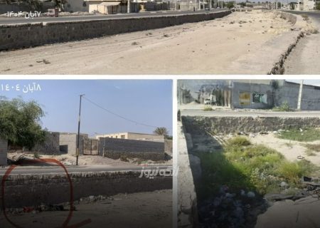 تنها یک روز پس از پاکسازی؛ بازگشت زباله‌ها به خور