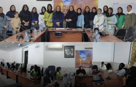 برگزاری نخستین کارگاه آموزشی بازی مافیا در بندرلنگه