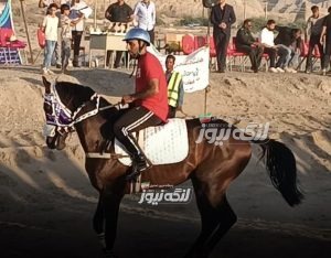 درخشش «عتیق» و «گل‌گل» با چابکسواری احمد فیروزی در کورس میناب