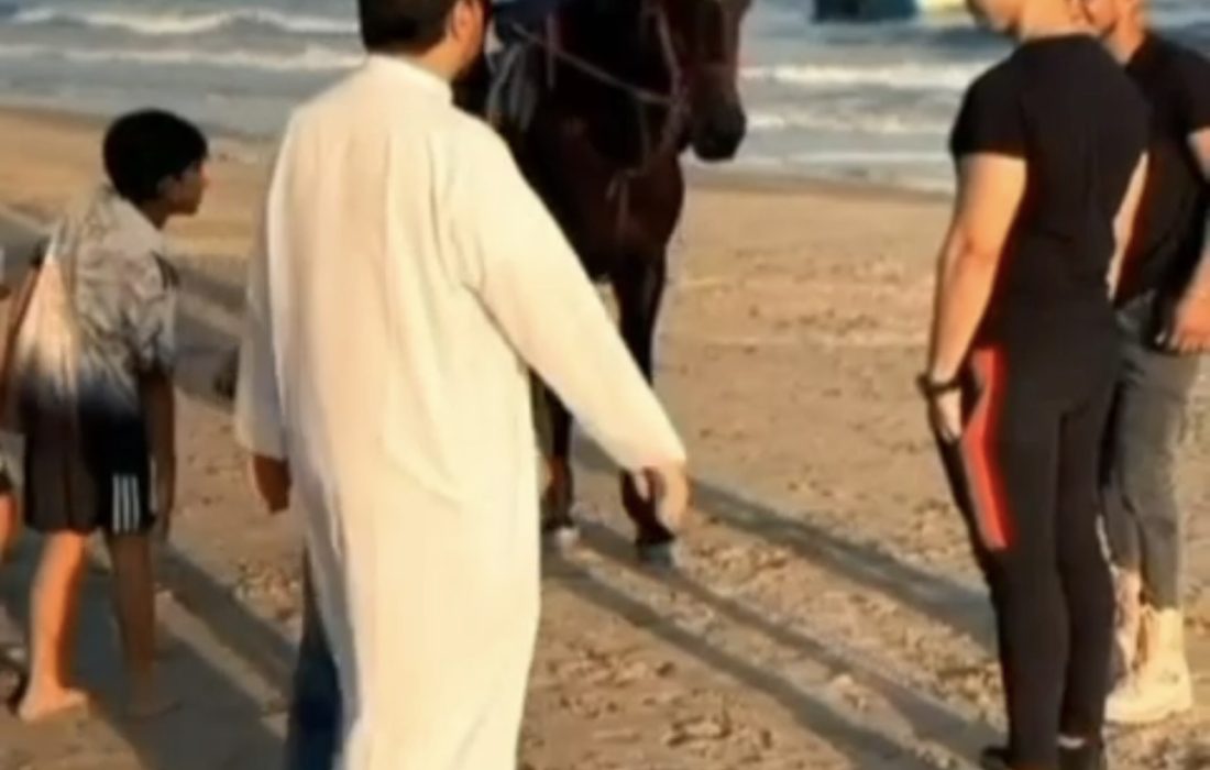 برگزاری اردوی ساحلی برای دانش‌آموزان دارالقرآن بندرکنگ