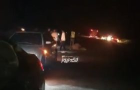 تصادف خودرو با دو شتر در روستای گلشن
