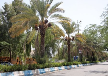 آغاز ساماندهی فضای سبز بلوار آیت‌الله خامنه‌ای در بندرلنگه