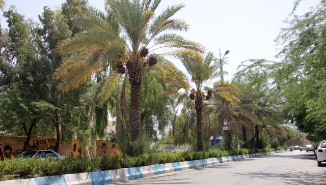 آغاز ساماندهی فضای سبز بلوار آیت‌الله خامنه‌ای در بندرلنگه