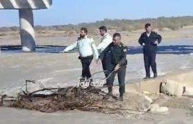 نیروی انتظامی شهرستان بندرلنگه در آبنمای کنخ برای ایمنی جاده