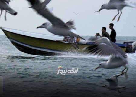 ممنوعیت صیادی در شهرستان بندرلنگه به دلیل مانور دریایی