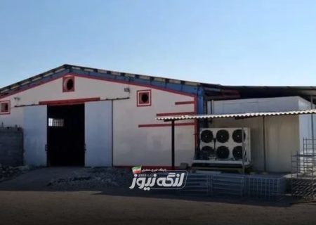 افزایش ۷۰ هزار تنی جذب ماده خام در بندرلنگه
