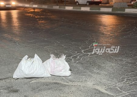 هشدار درباره نشست خطرناک پل روبه‌روی ورودی کامیون اداره بنادر بندرلنگه