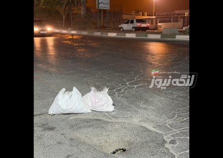 هشدار درباره نشست خطرناک پل روبه‌روی ورودی کامیون اداره بنادر بندرلنگه