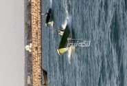 دمای ۳۹ درجه و مواج شدن دریا از فردا در بندرلنگه
