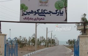 وضعیت نامناسب میمون‌های قفس پارک کوهین بندرکنگ