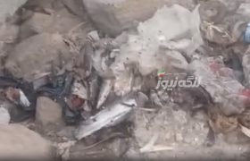 گلایه شهروندان از بوی نامطبوع اطراف بازار ماهی‌فروشان بندرکنگ