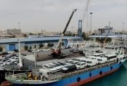 ترانزیت ۶۶۷ هزار تن کالا و بیش از ۳۵ هزار خودرو در بنادر غرب هرمزگان